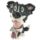 Little Paws - Gyp The Border Collie