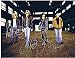 Bon Jovi Group Autograph 8x10 Photo