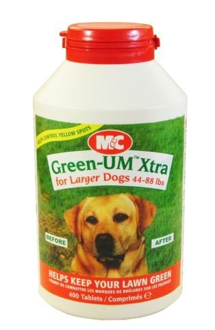 Green-um Xtra 1000 Count for Larger Dogs