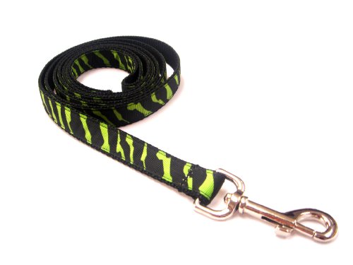Small Green/Black Zebra Dog Leash - Nylon Webbing: 3/4