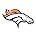 Denver Broncos