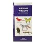 Virginia Wildlife: An Introduction to Familiar Species (State Nature Guides)