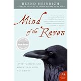 mind of the raven