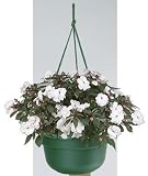 Duraco #DCHB12 EGRN 12x6EverGRN Hang Basket