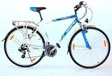28 Zoll Herren Fahrrad - Trekkingrad Blau/Weiß