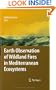 Earth Observation of Wildland Fires in Mediterranean Ecosystems