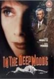 In the Deep Woods
