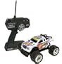 Unimax Radline RC 1:24th Scale Master Series Monster Truck- Destructor
