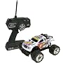 Unimax Radline RC 1:24th Scale Master Series Monster Truck- Destructor