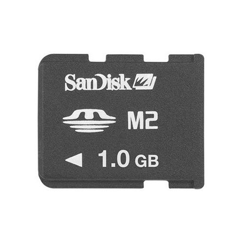 Childrens Toyshop  Electronics : 1GB SanDisk Memory Stick Micro (M2) Inc Pro Duo Adaptor