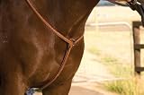Crosby Raised Padded Fancy Stitched Breastplate