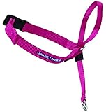 PetSafe Gentle Leader Headcollar, Small, Raspberry