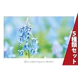 ���i�̏ڍ�