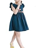 Candykids 女の子ドレス ガールズワンピース 夏サマー 可愛いベビー 子供女の子ドレス ガールズワンピース 夏サマー 可愛いベビーブルーホワイト　レースドレス　プリンセスドレス (150cm,