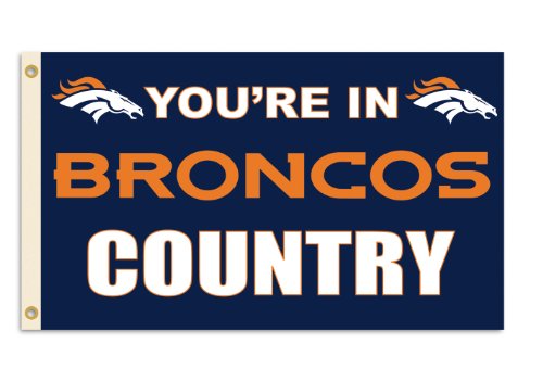 NFL Denver Broncos 3-by-5 Foot 