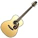 Takamine New SAM-80 �n�J�����_�@�A�R�[�X�e�B�b�N�M�^�[