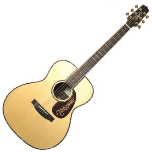 Takamine New SAM-80 ハカランダ　アコースティックギター