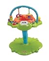 Fisher-Price Bounce and Spin Froggy Entertainer