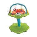 Fisher-Price Bounce and Spin Froggy Entertainer