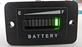 48 Volt Battery Status Indicator