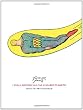 I Shall Destroy All the Civilized Planets: The Comics of Fletcher Hanks: The Fantastic Comics of Fletcher Hanks