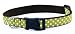 Medium Moss/White Polka Dot Dog Collar: 3/4 wide, Adjusts 13-20.