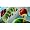 Super Mario Galaxy (Wii)