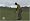 Tiger Woods PGA Tour 09 All-Play