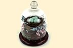 Bird Nest Cloche