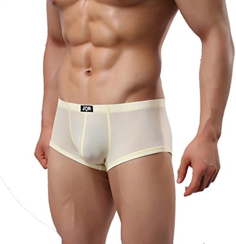 JAC Men's Sexy Thin Soft Silk Feel Transparent Underwear Shorts Briefs