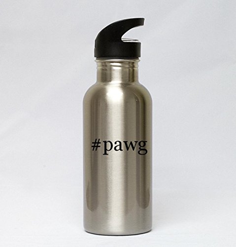 20oz Stainless Steel Silver Hashtag Water Bottle - #pawg
