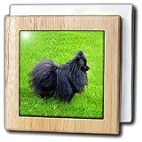Dogs Pomeranian - Black Pomeranian - Tile Napkin Holders