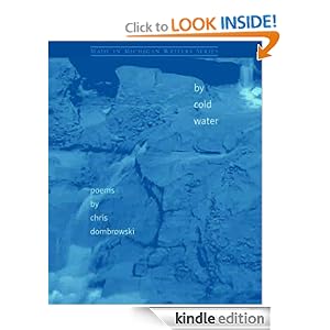 Cold Water (Made in Michigan Writers) Chris Dombrowski