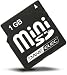 Electronics : Dane-Elec - Flash memory card - 1 GB - miniSD