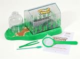 Trend Enterprises ILP6610 Earthworm Nusery