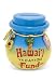 Hawai'i Vacation Fund Money Jar