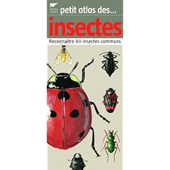 Petit atlas des insectes : Reconna�tre 80 insectes communs