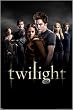Twilight Cast NEW Movie Poster (size 24"x36")