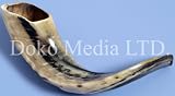 Jewish Shofar - Traditional Ram's Horn Jewish Shofar