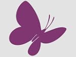 Wandtattoo Schmetterling 20cm gro�!!!...