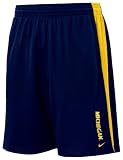 Michigan Wolverines Nike Navy Mesh Short
