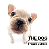 THE DOG Photo Book Collection French Bulldog