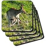 Albom Design Animals - Kangaroo and Joey wild Queensland Australia - Coasters