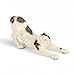 Schleich Male Stretching Cat
