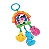 Fisher-Price Mein Bauernhof Mini Mobile ab 0 Monate