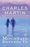 The Mountain Between Us