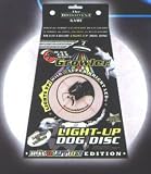 Toysmith LED Dog Disc
