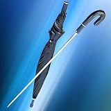 Windlass Rapier