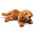 Yomiko Yomiko Golden Retriever by Russ