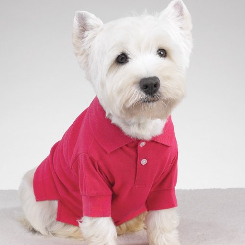 Casual Canine Preppy Puppy Polo Sm Cape Blue